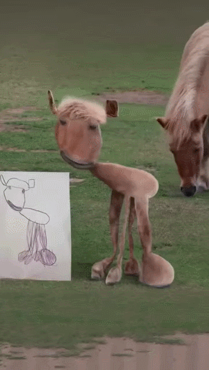 게시글 대표 이미지