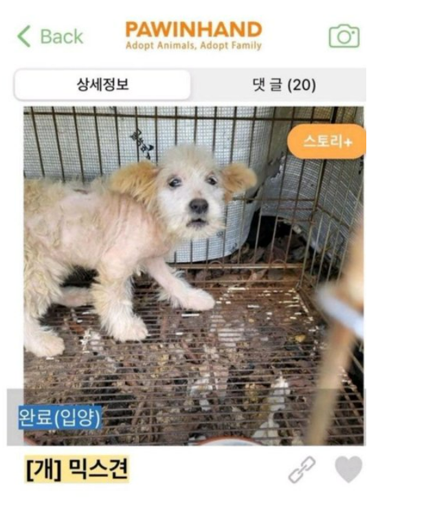 대표이미지