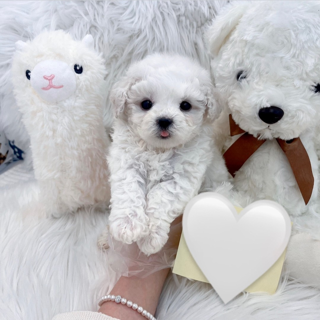 게시글 대표 이미지