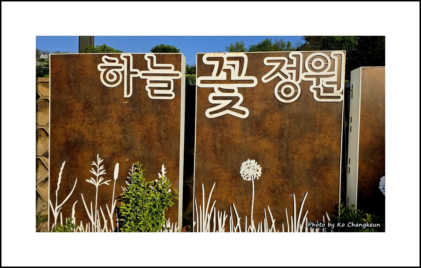 게시글 대표 이미지