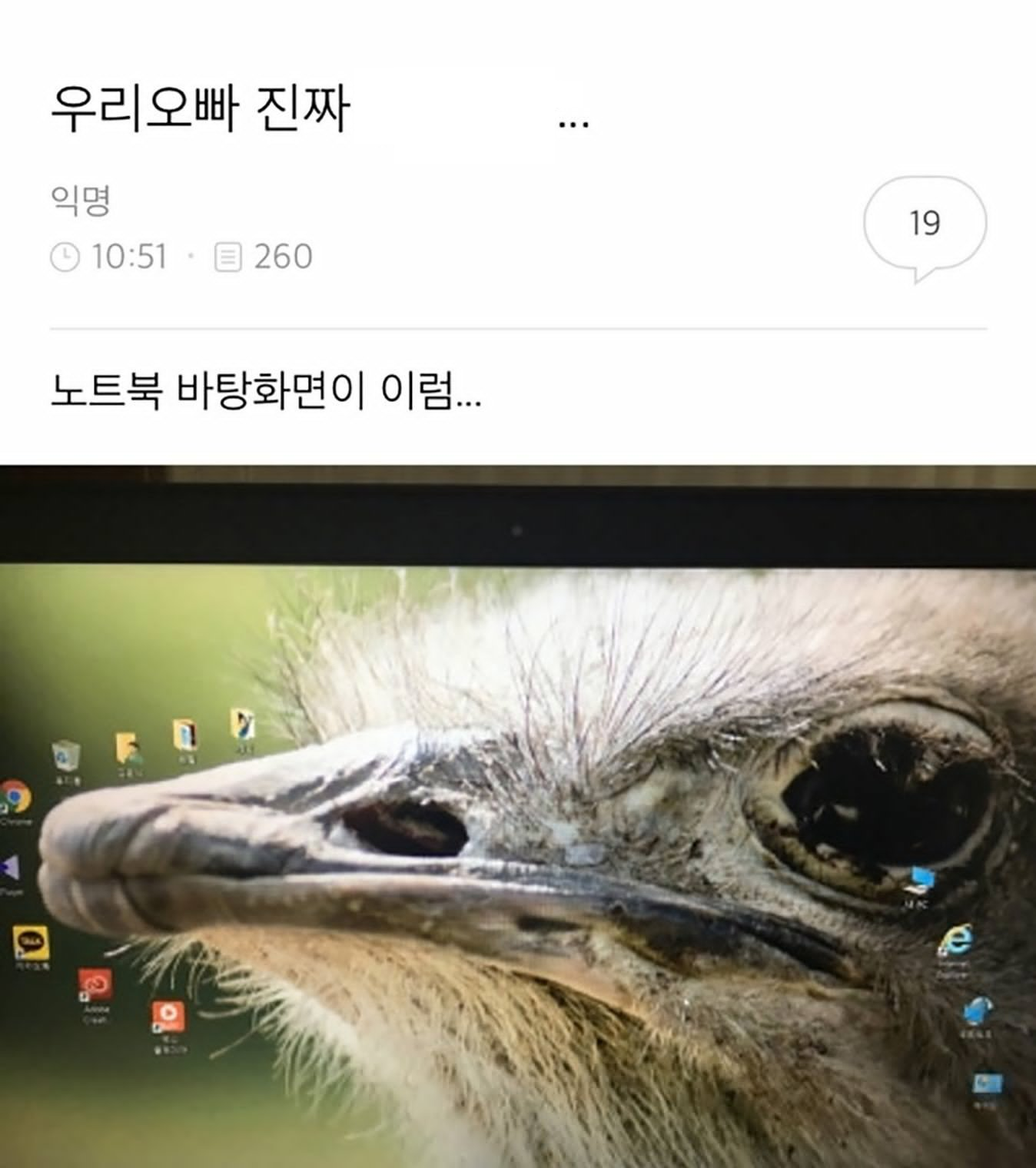 대표이미지
