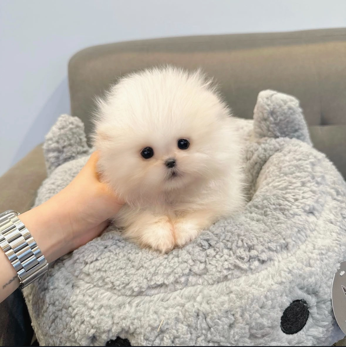 게시글 대표 이미지