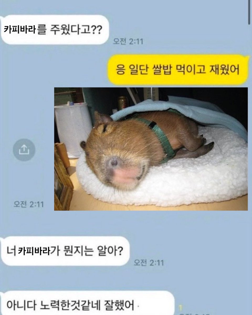 게시글 대표 이미지