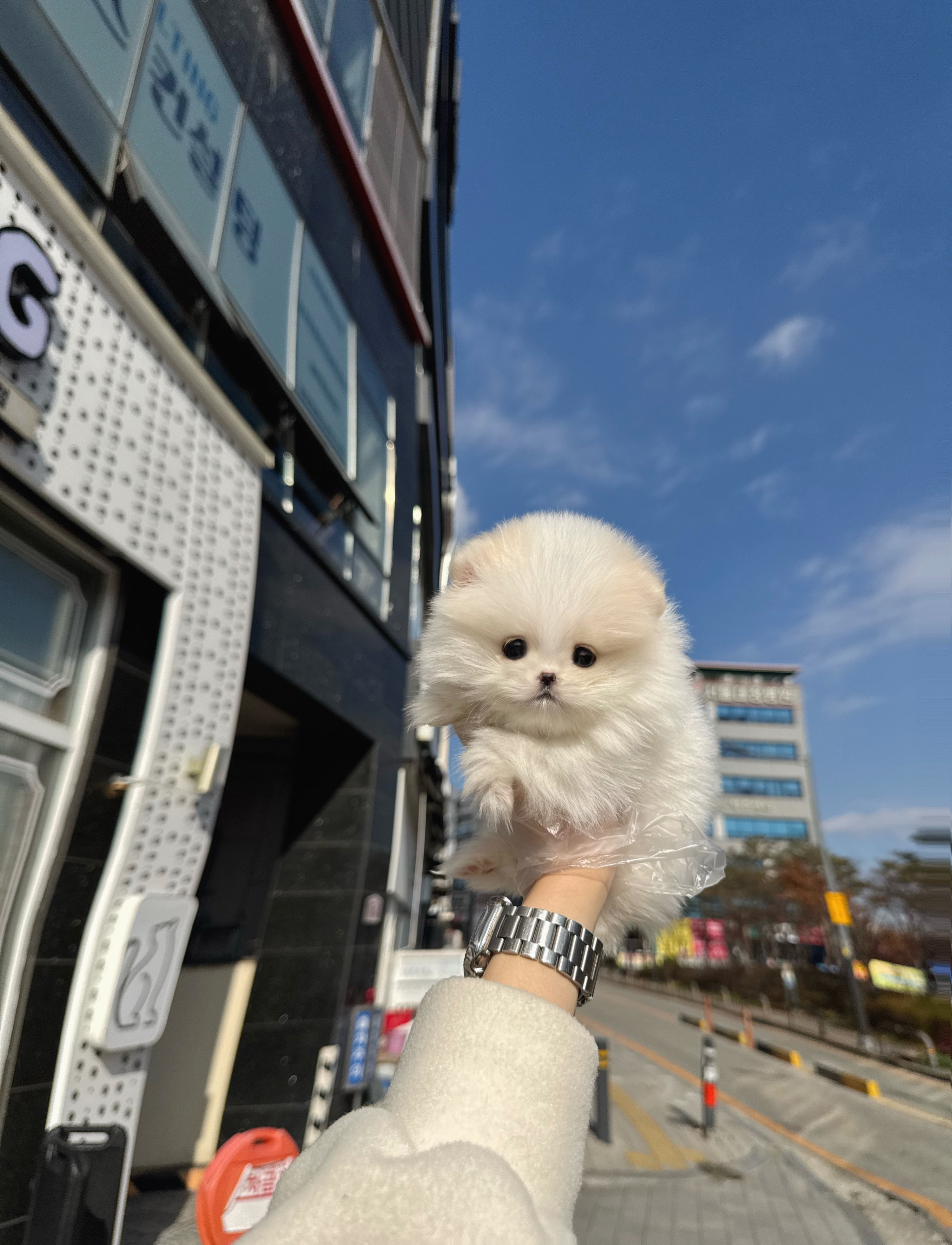 게시글 대표 이미지