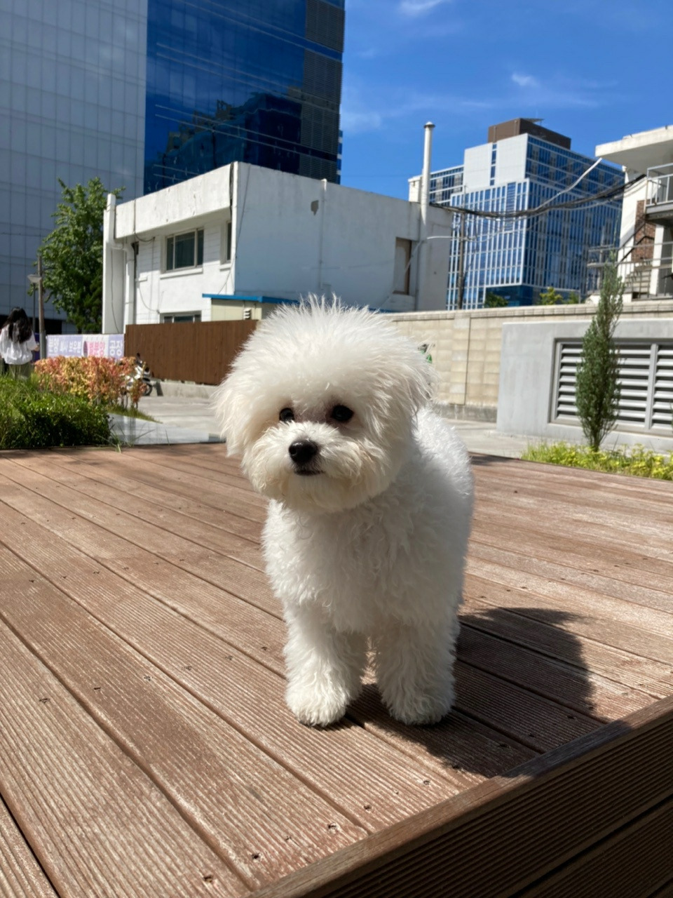 게시글 대표 이미지