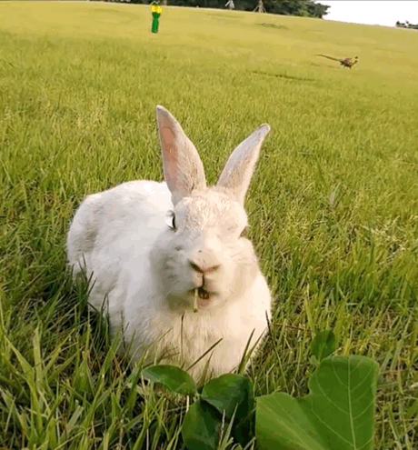 게시글 대표 이미지