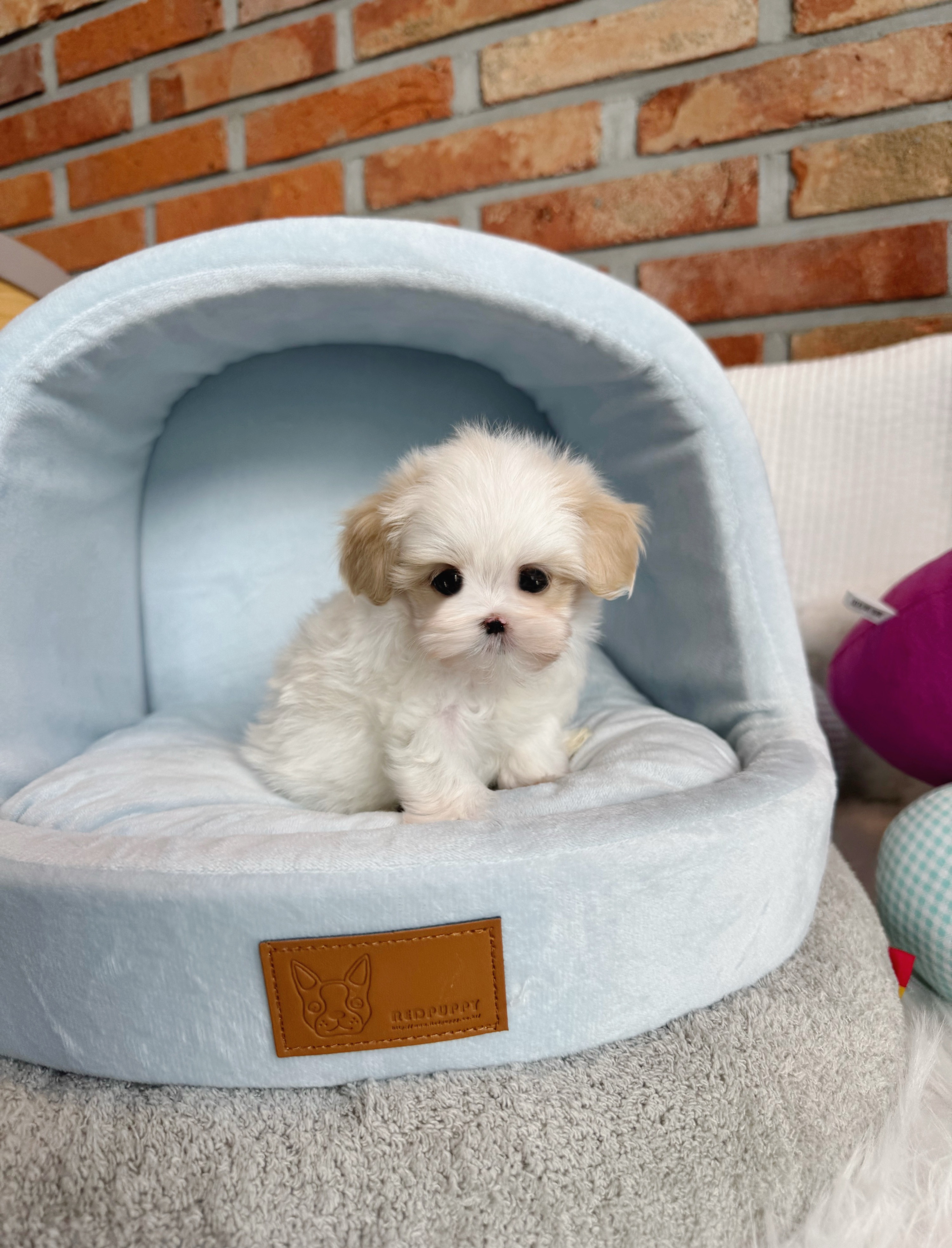 게시글 대표 이미지