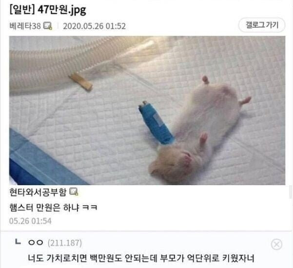 대표이미지