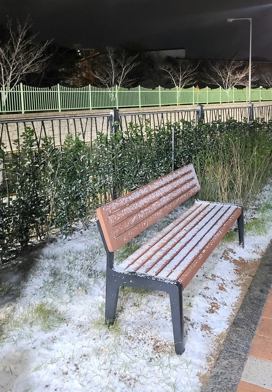 게시글 대표 이미지