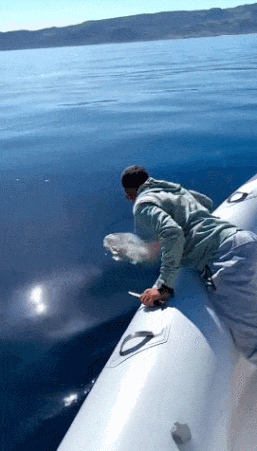 게시글 대표 이미지