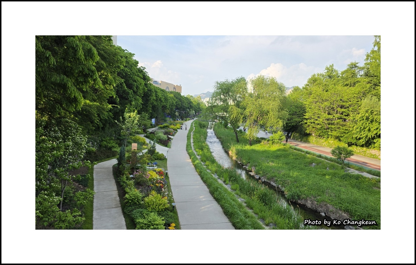 게시글 대표 이미지