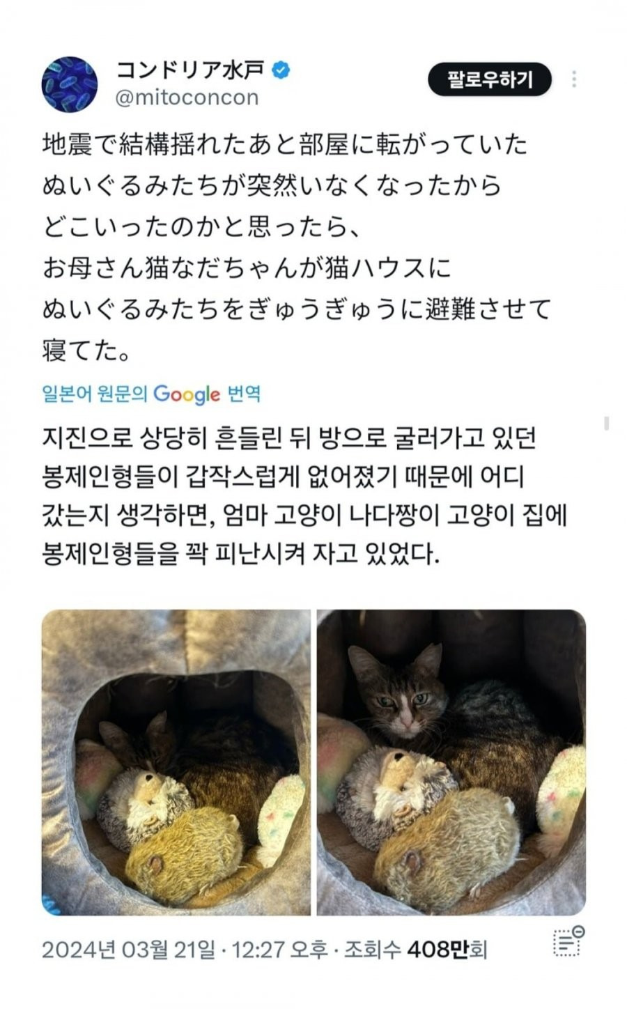 대표이미지