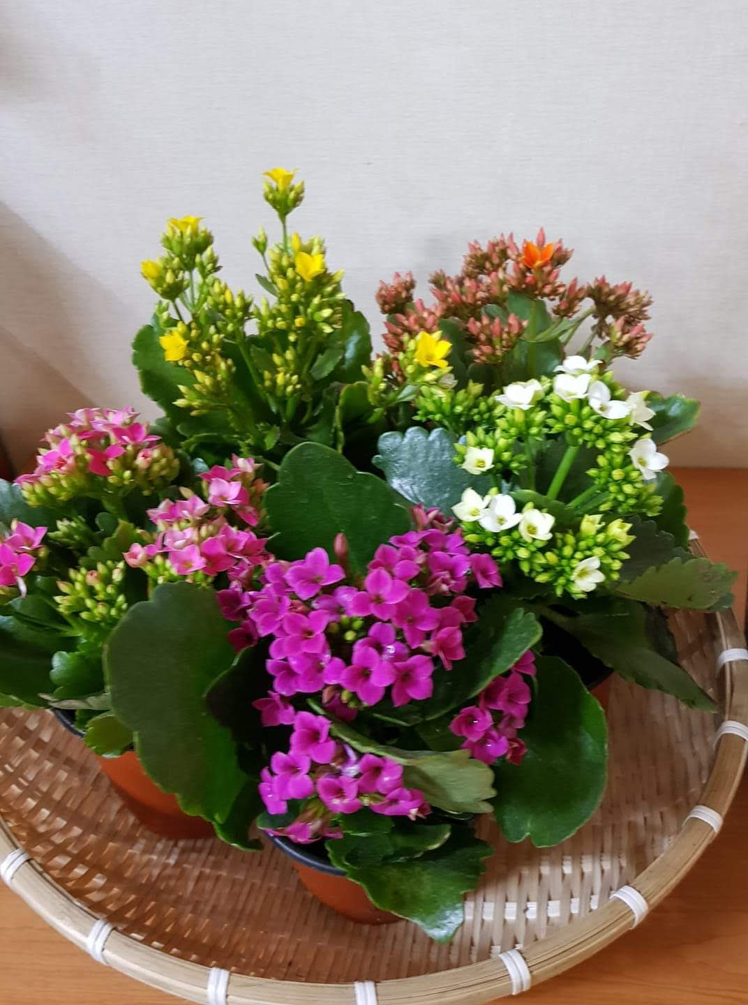 작성자 프로필 이미지