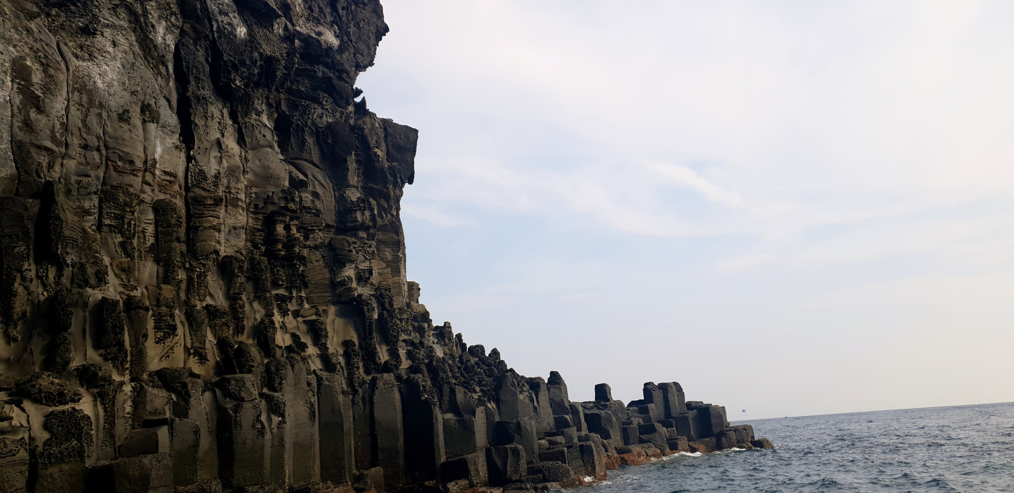 작성자 프로필 이미지