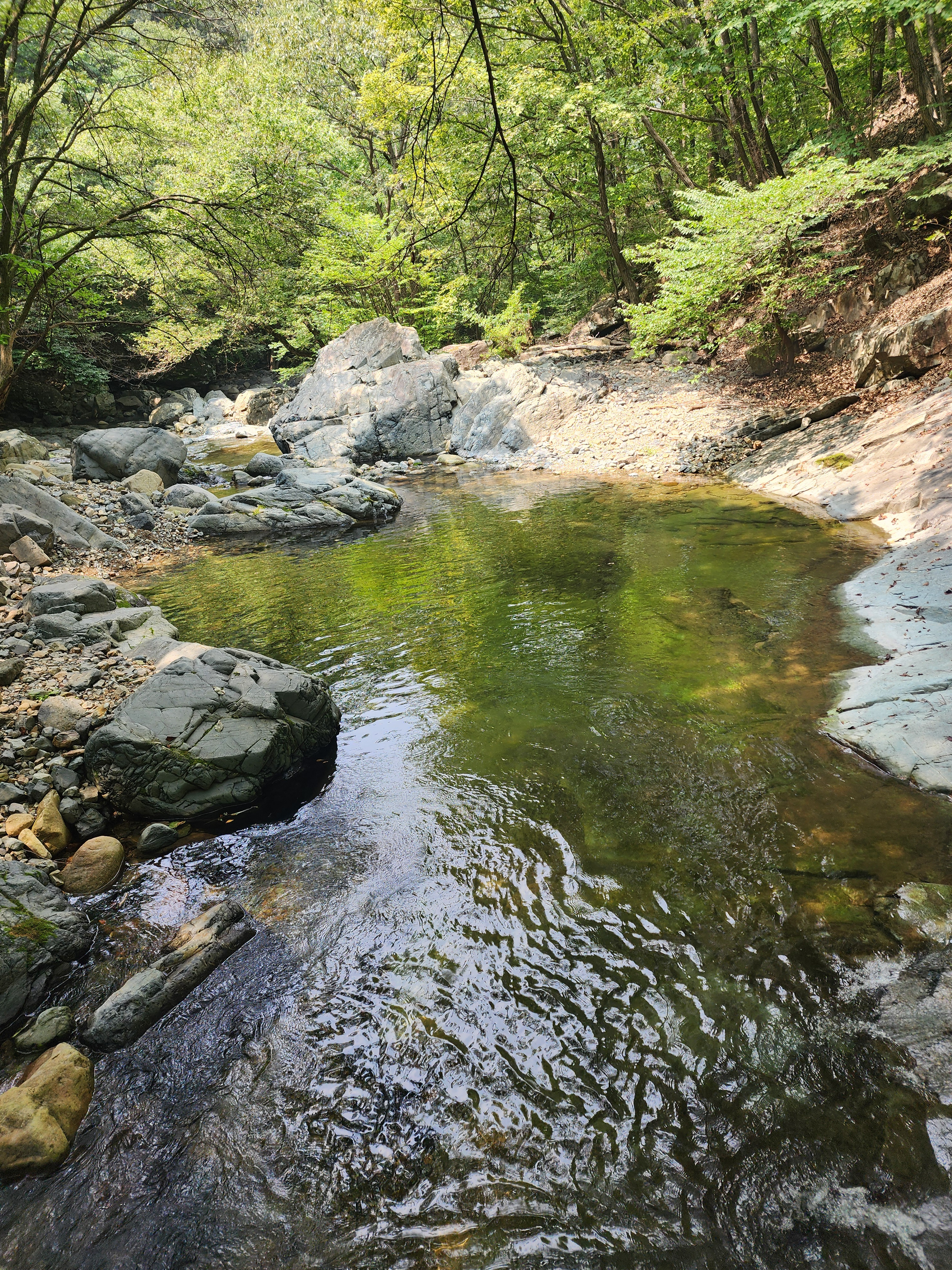 작성자 프로필 이미지