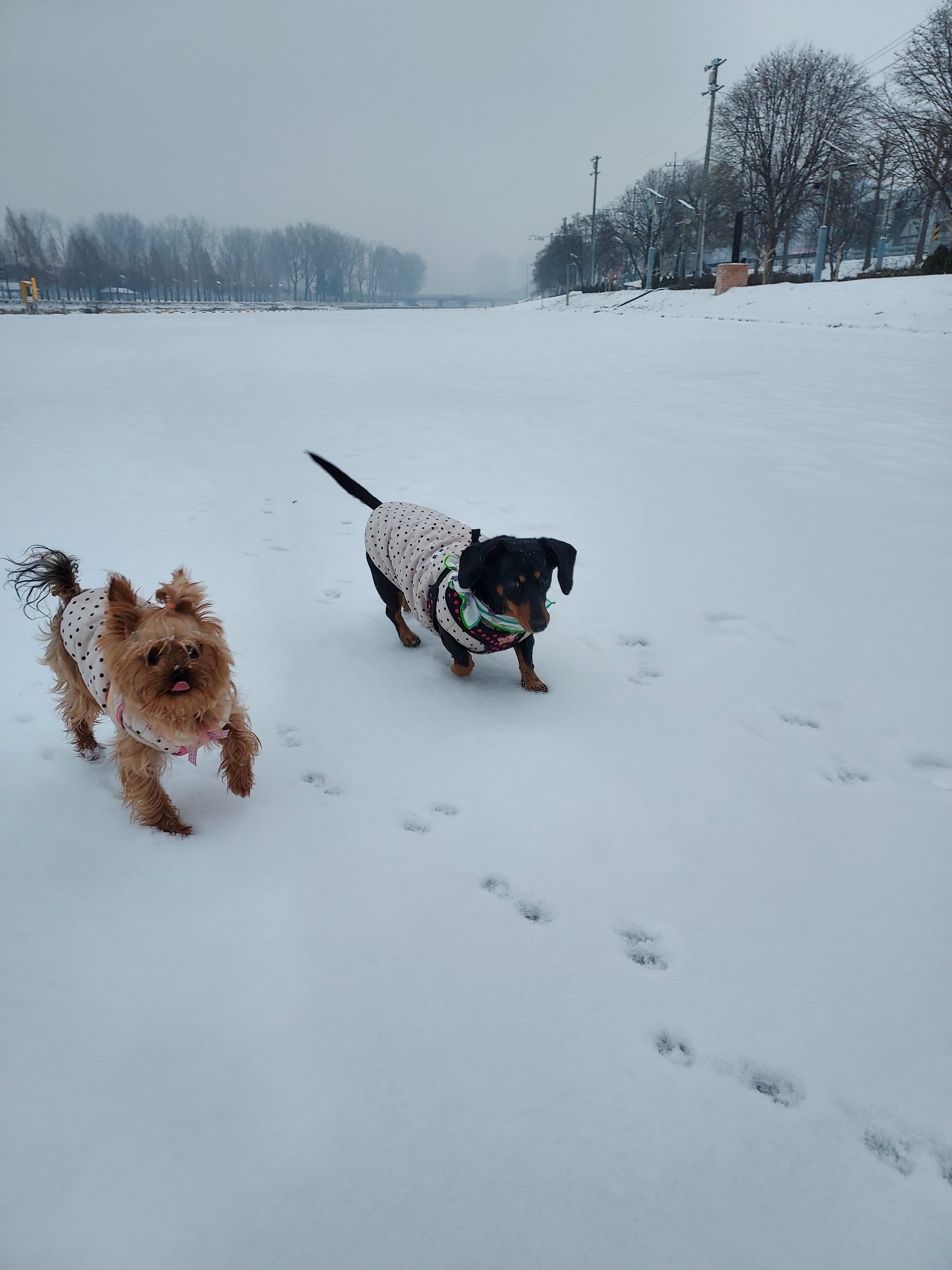 작성자 프로필 이미지