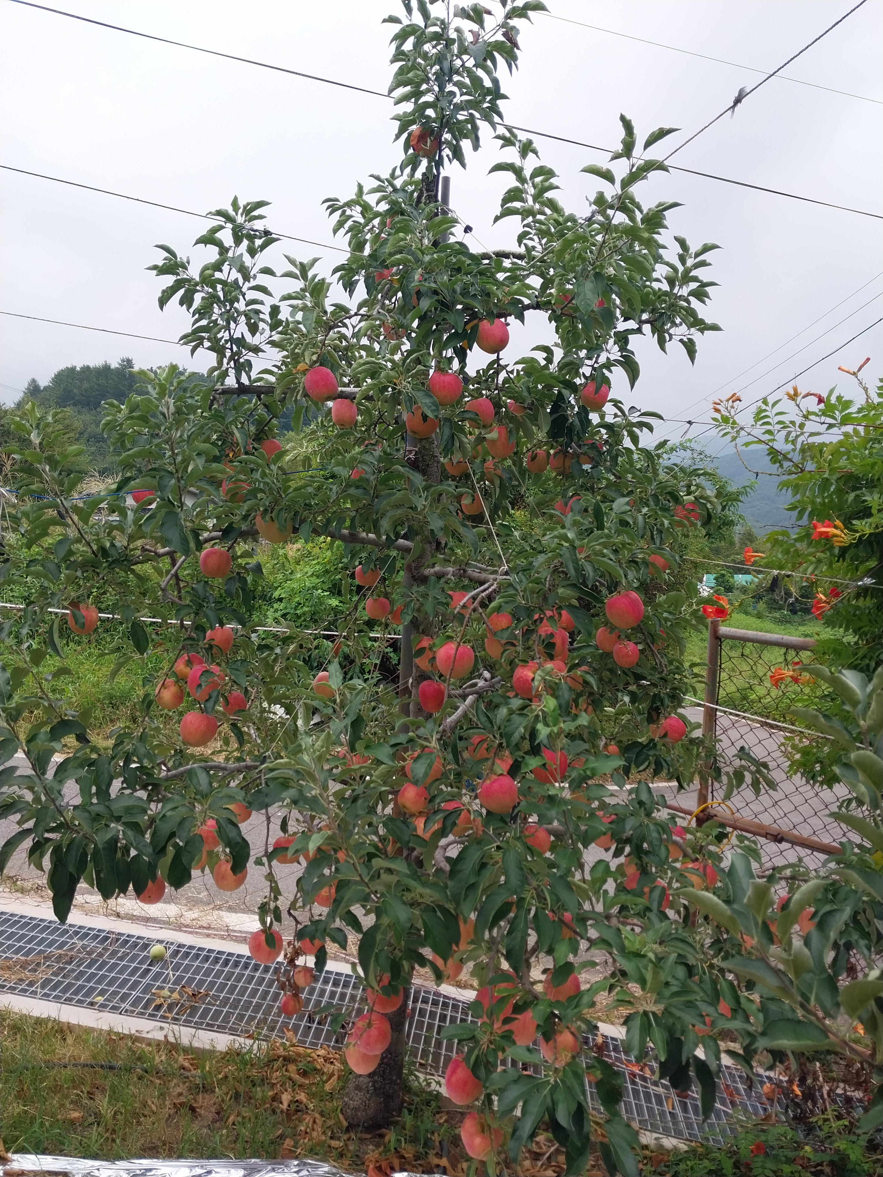 작성자 프로필 이미지