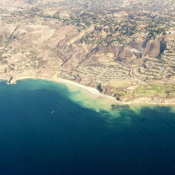 작성자 프로필 이미지