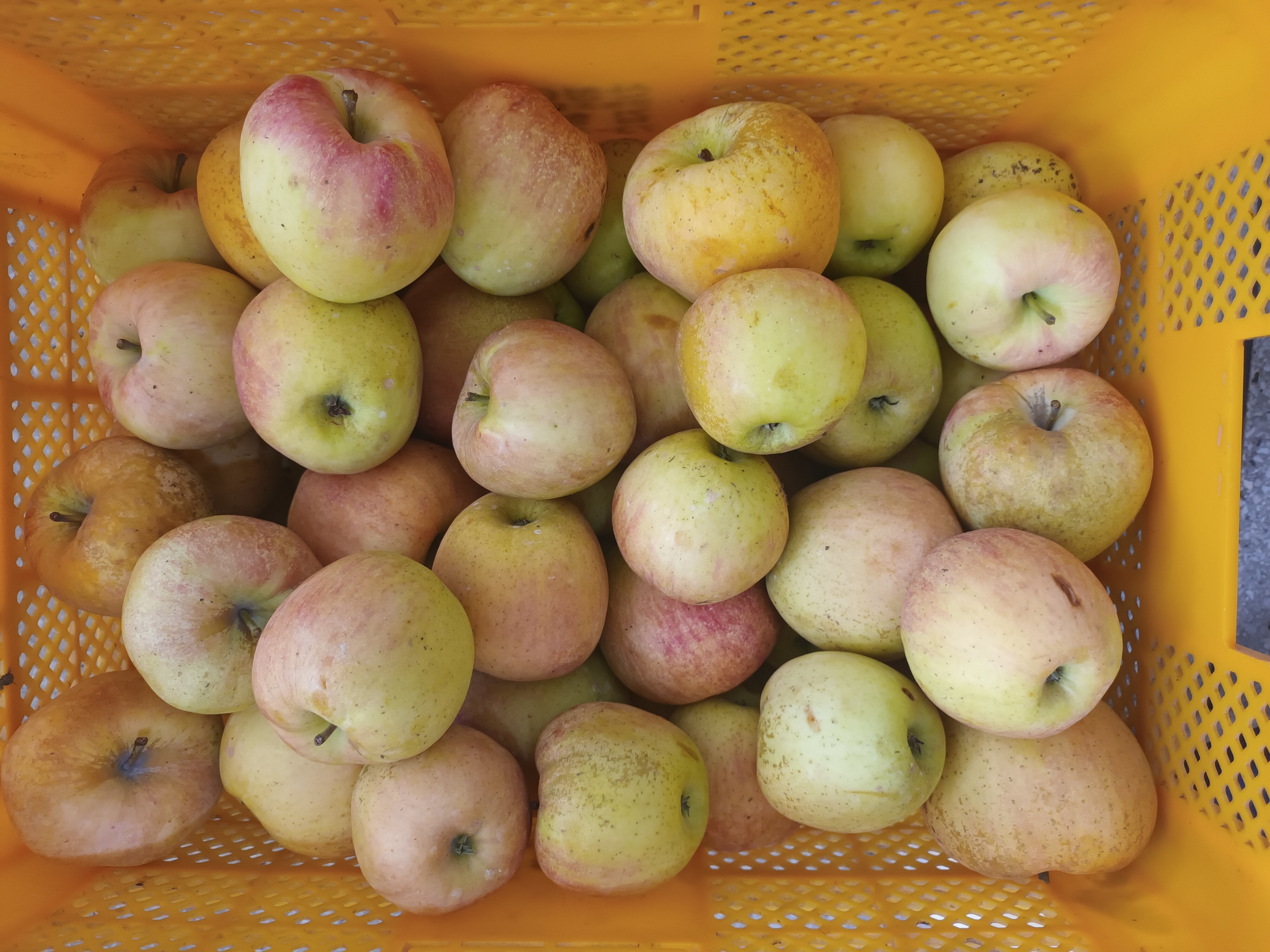 작성자 프로필 이미지