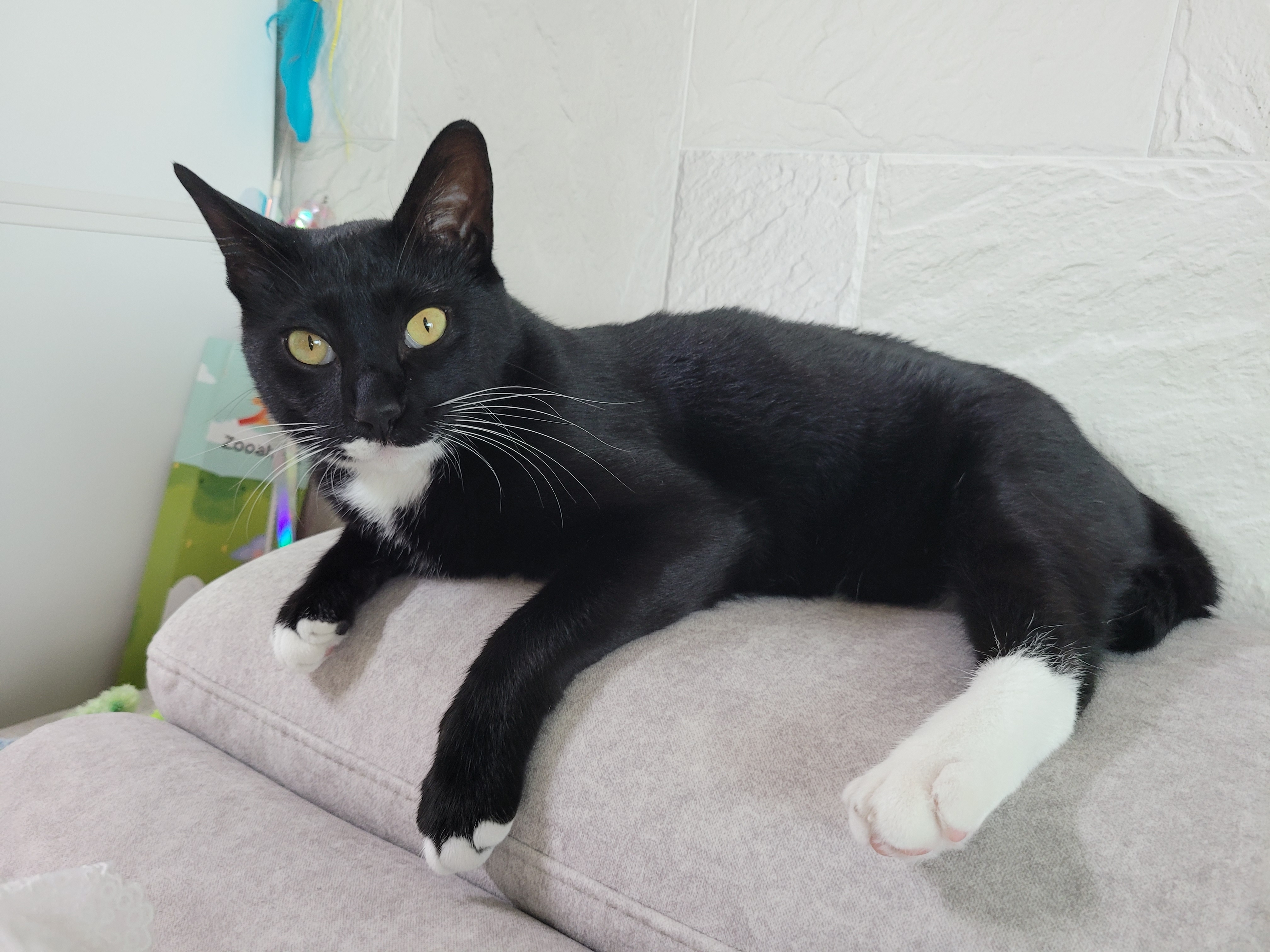 작성자 프로필 이미지