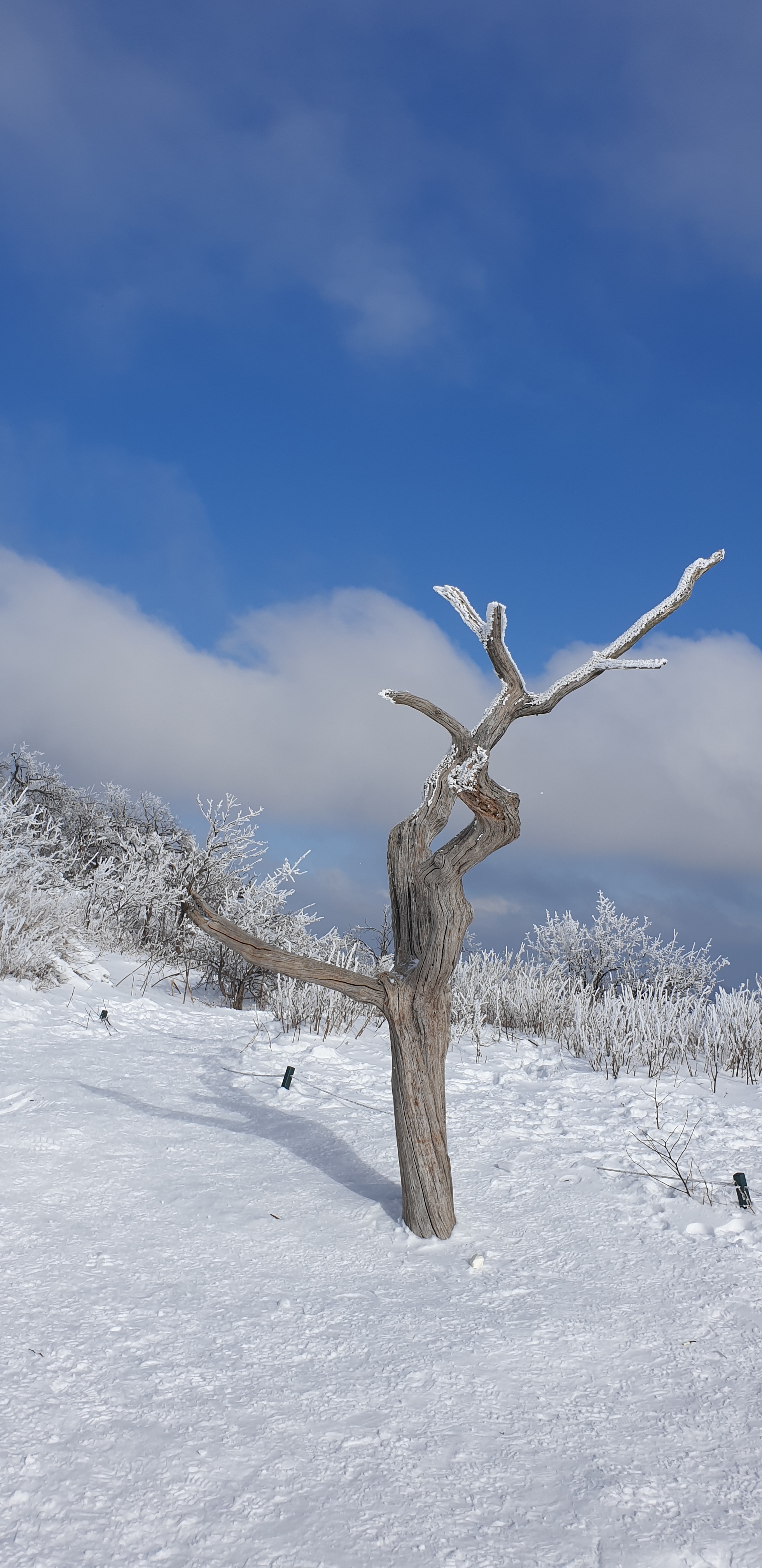 작성자 프로필 이미지