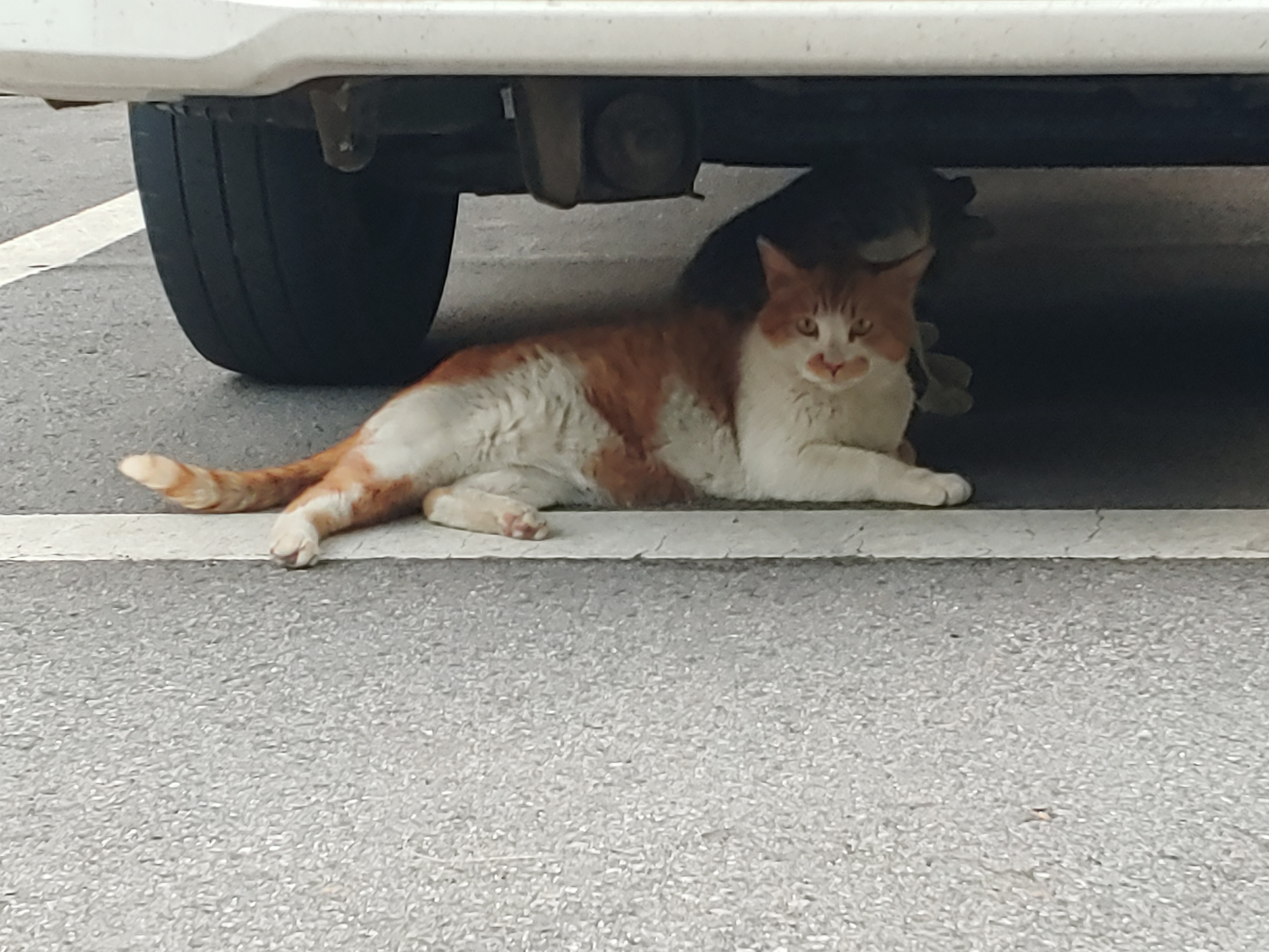 작성자 프로필 이미지