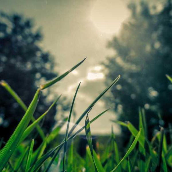 작성자 프로필 이미지