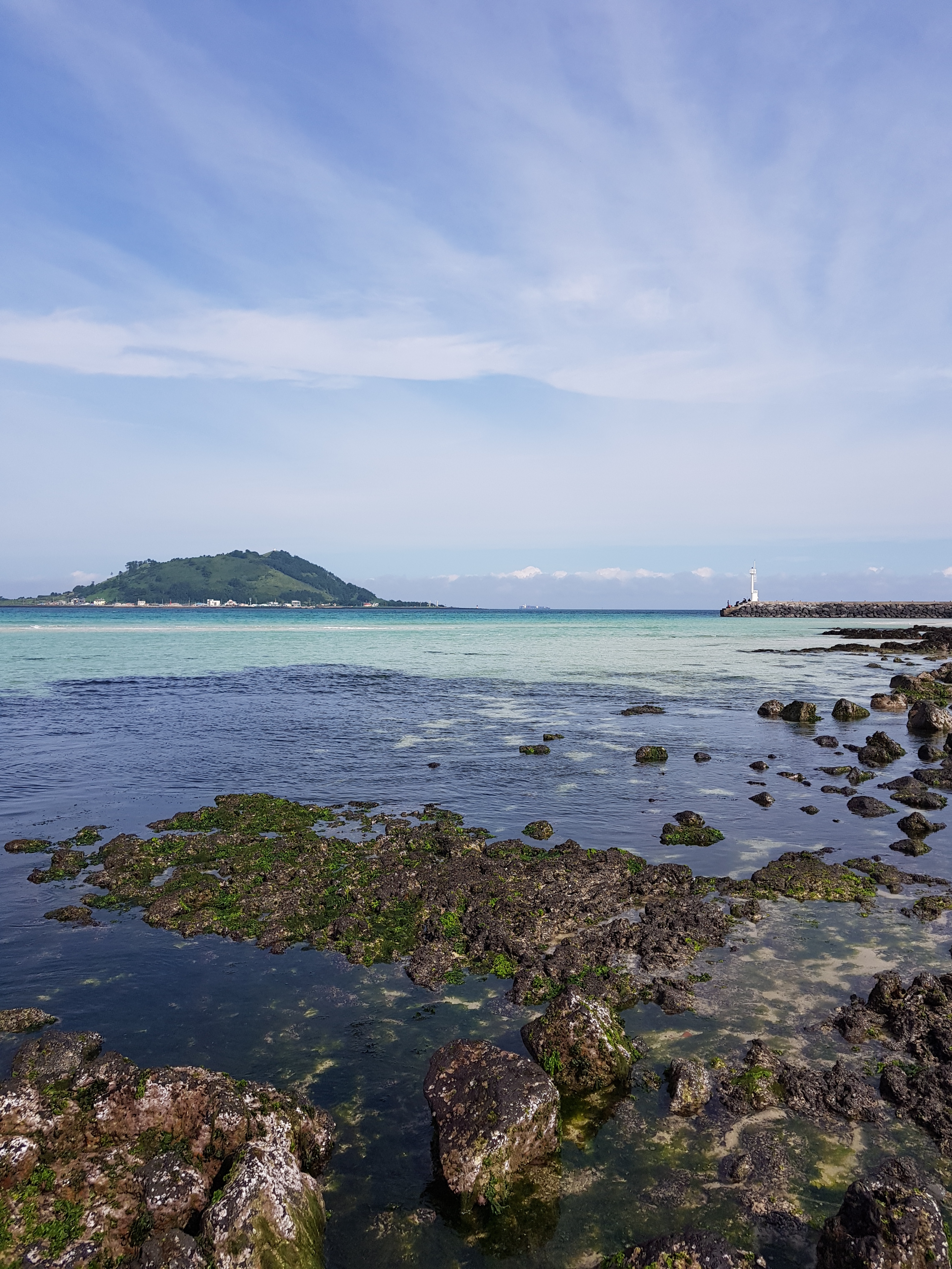 작성자 프로필 이미지