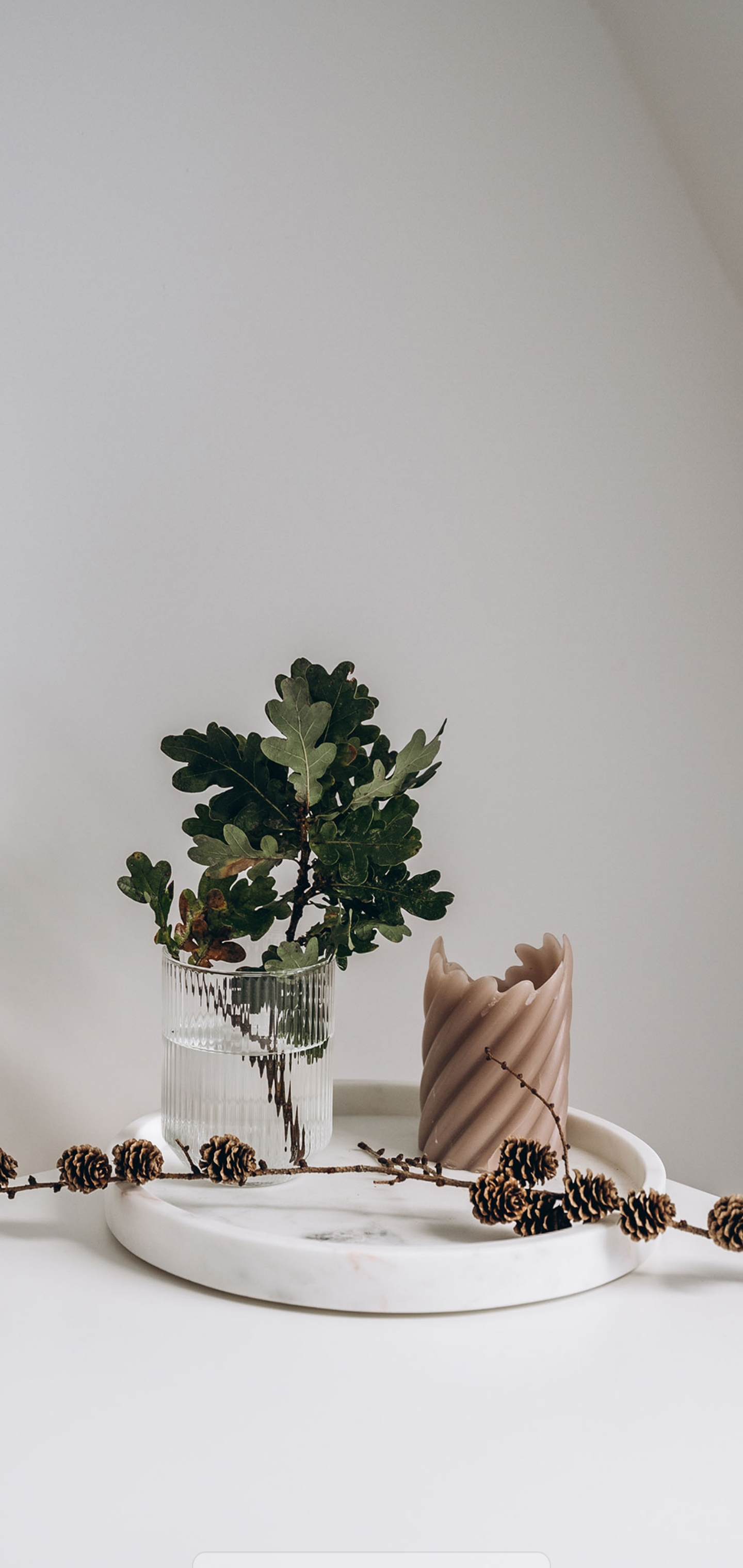 작성자 프로필 이미지