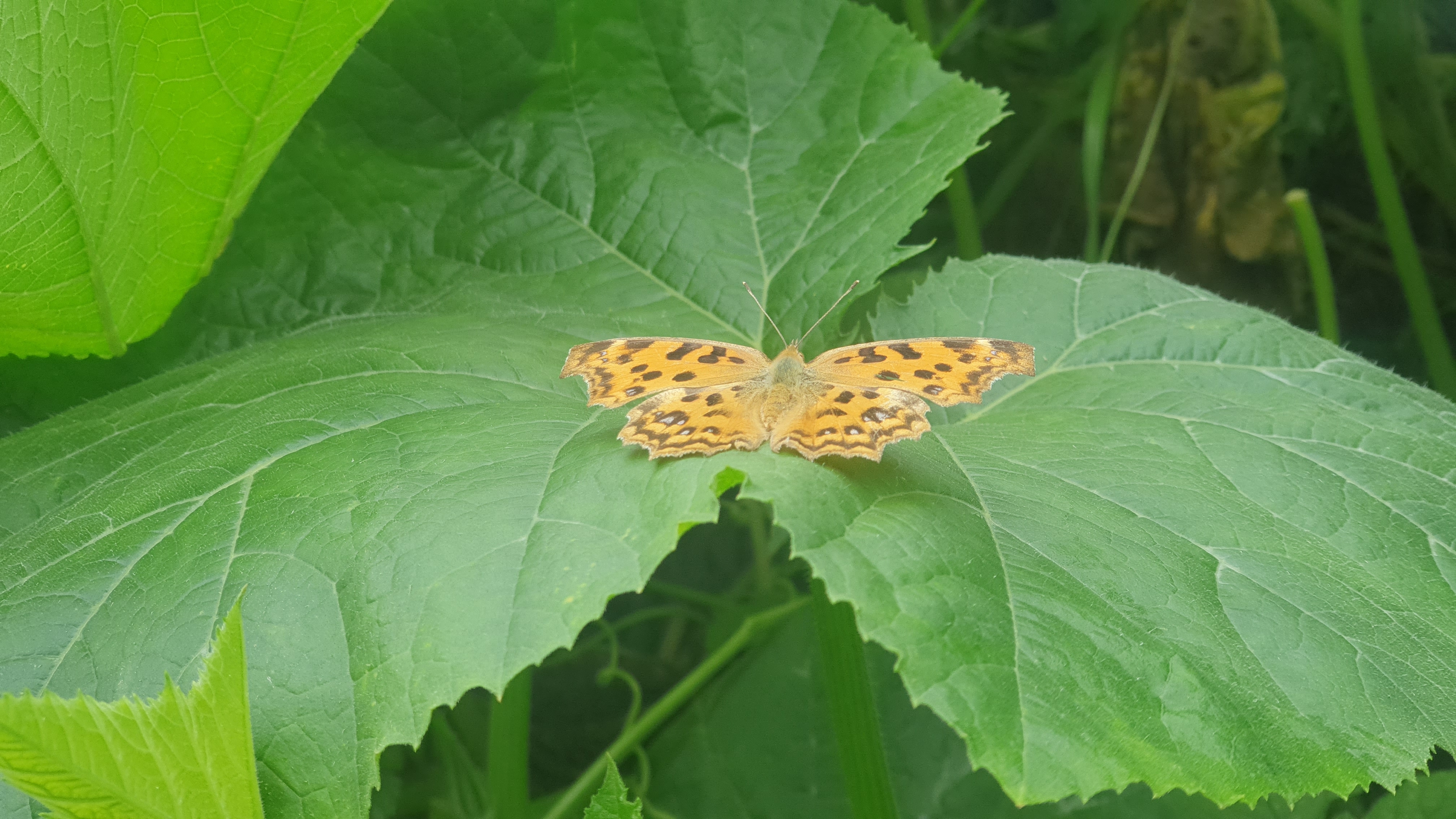 작성자 프로필 이미지