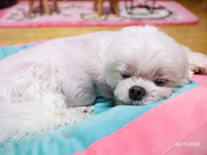 작성자 프로필 이미지