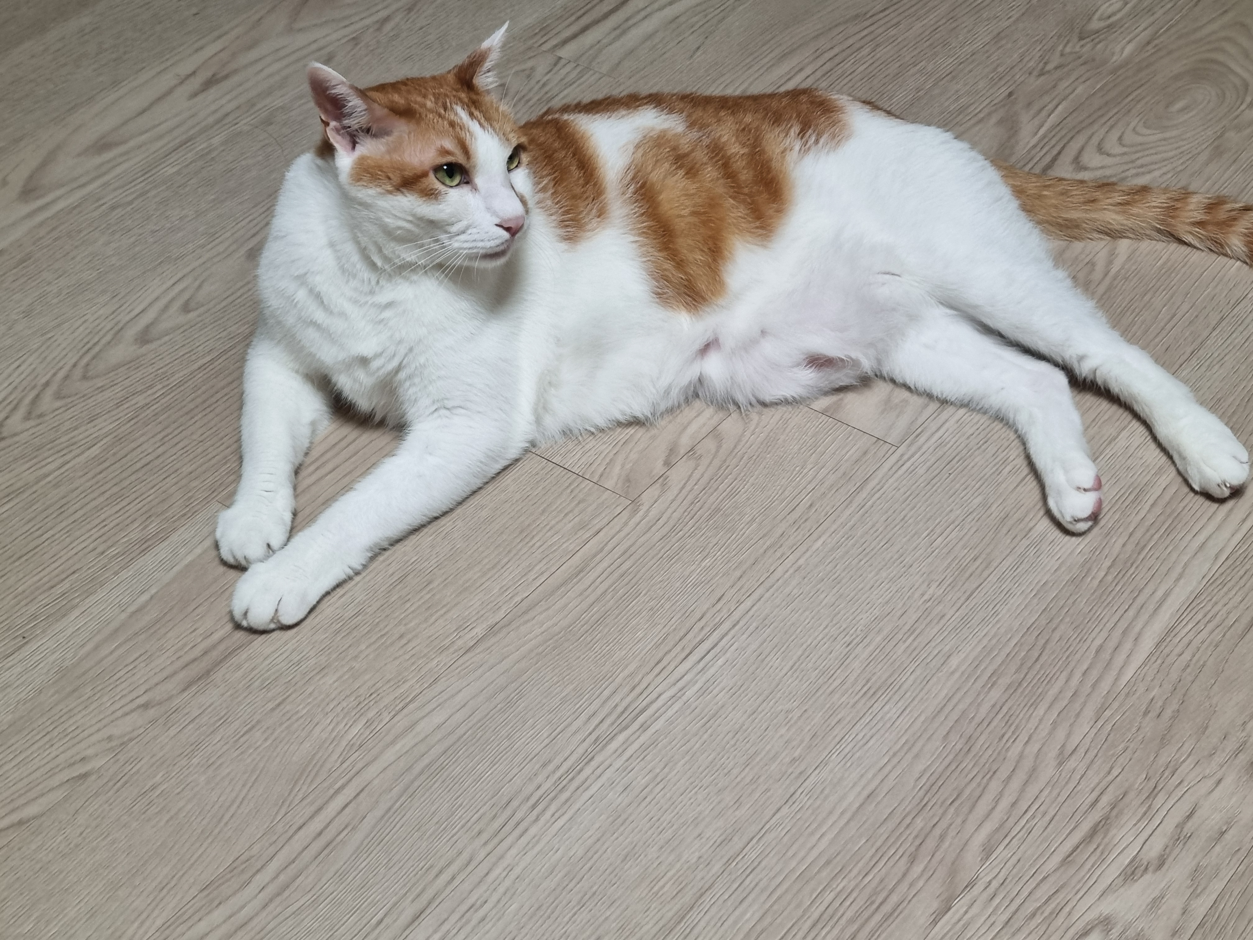 작성자 프로필 이미지