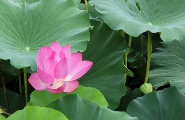 작성자 프로필 이미지