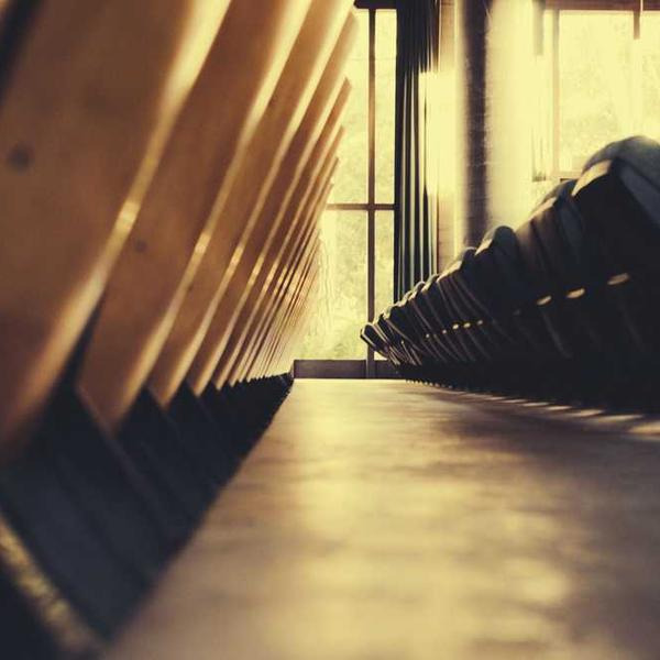 작성자 프로필 이미지