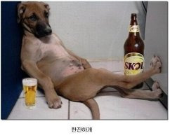 작성자 프로필 이미지