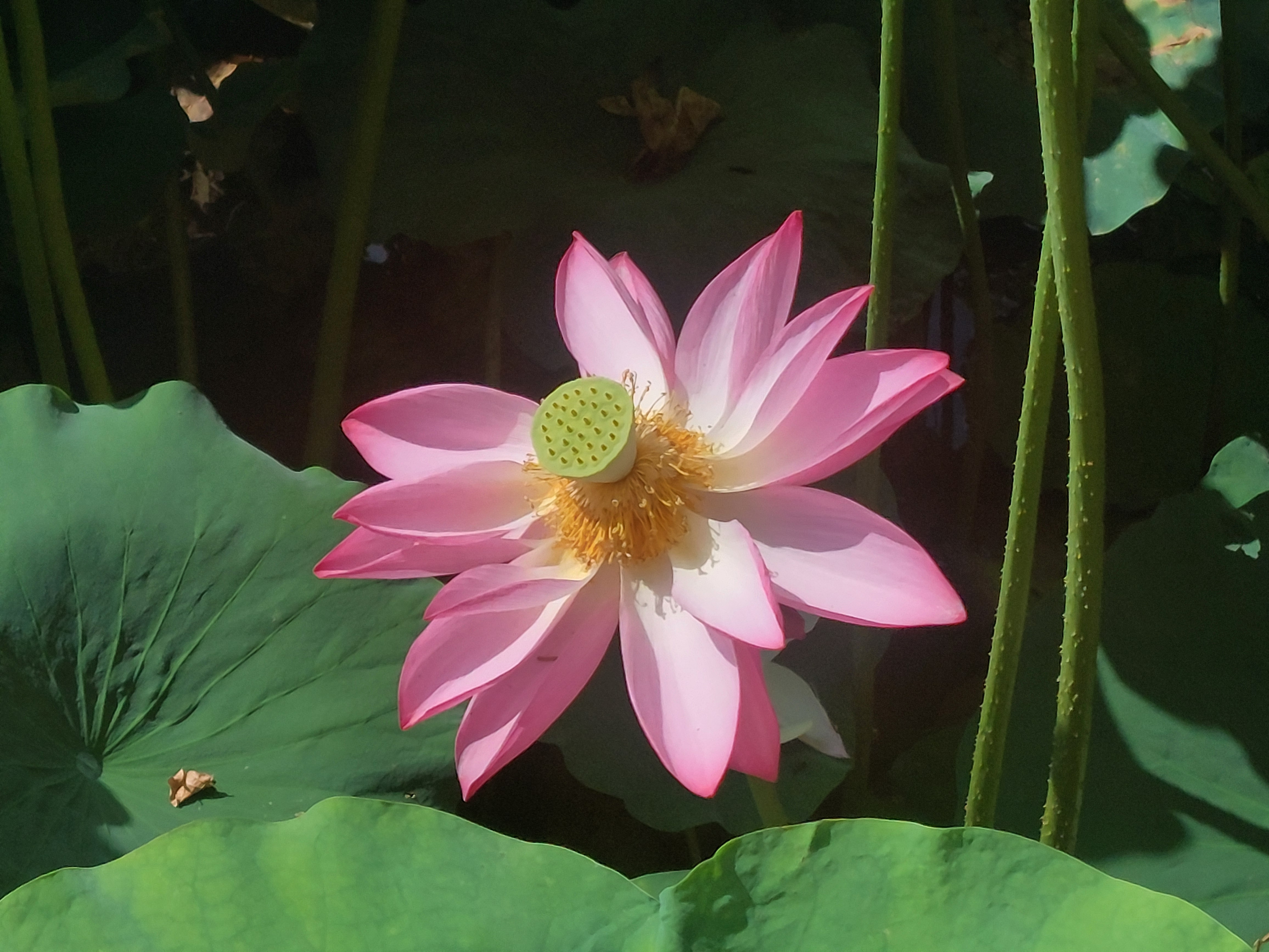 작성자 프로필 이미지