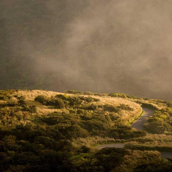 작성자 프로필 이미지