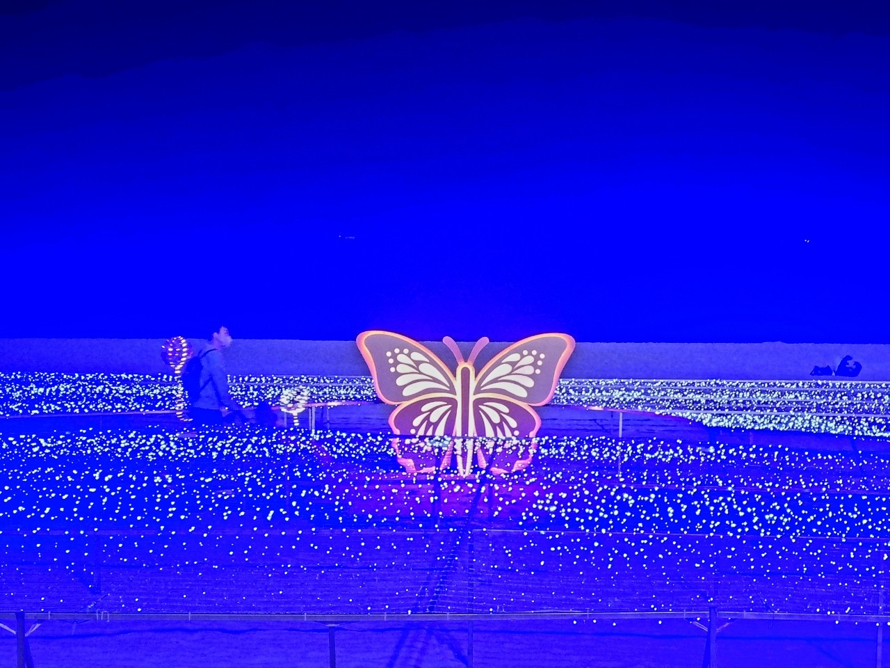 작성자 프로필 이미지