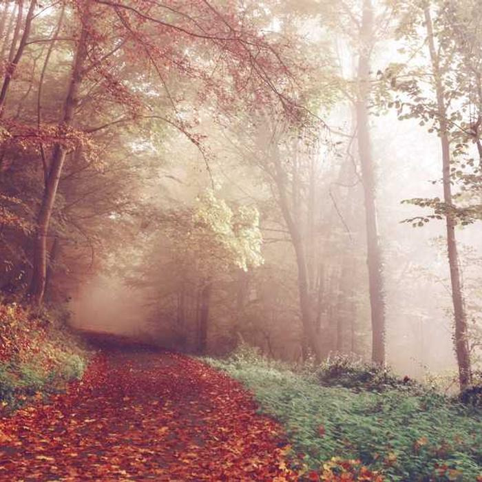 작성자 프로필 이미지