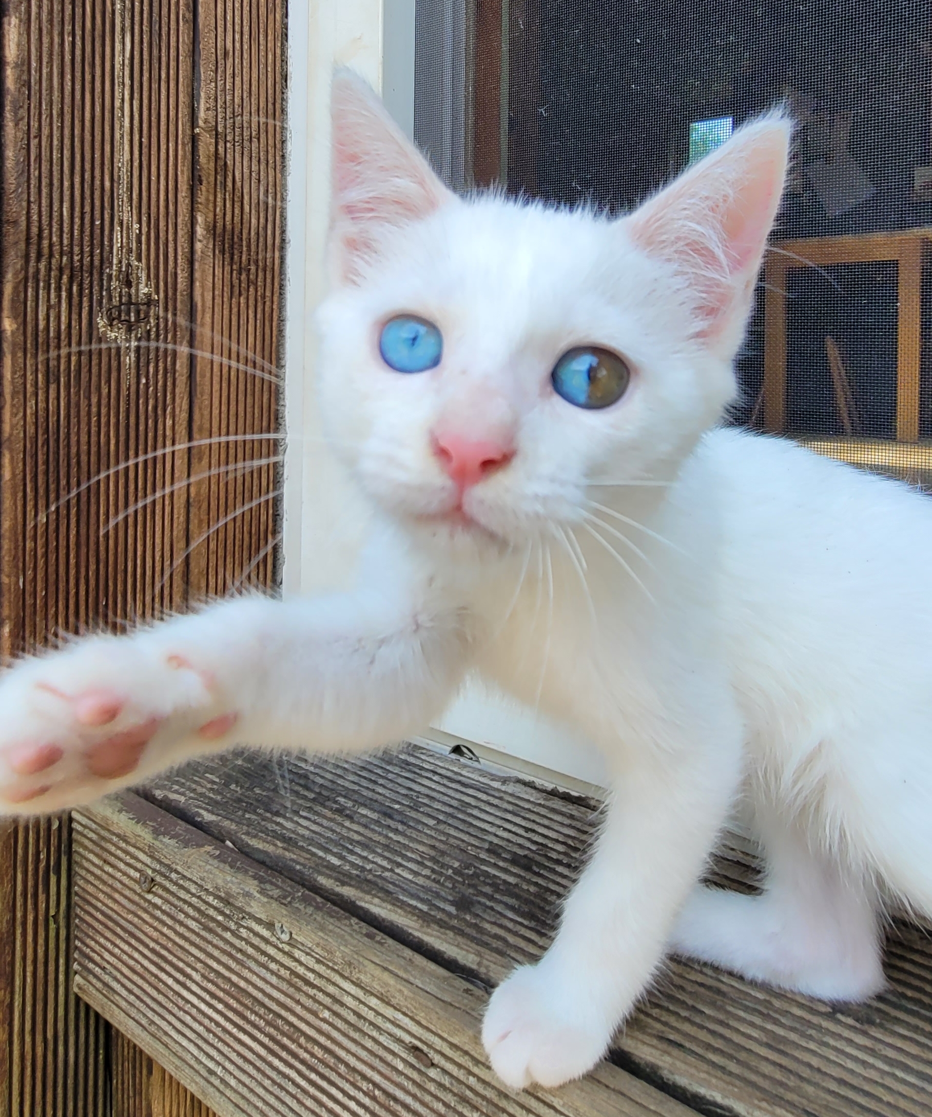 작성자 프로필 이미지