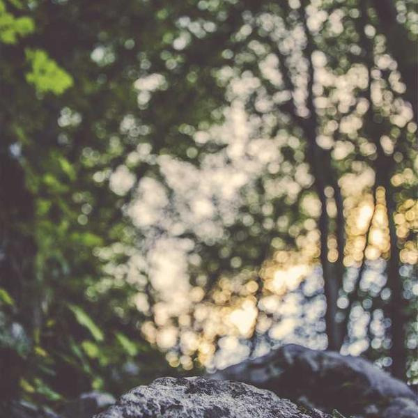 작성자 프로필 이미지