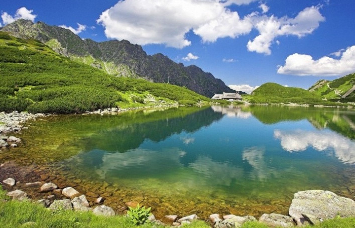 작성자 프로필 이미지