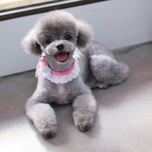 작성자 프로필 이미지