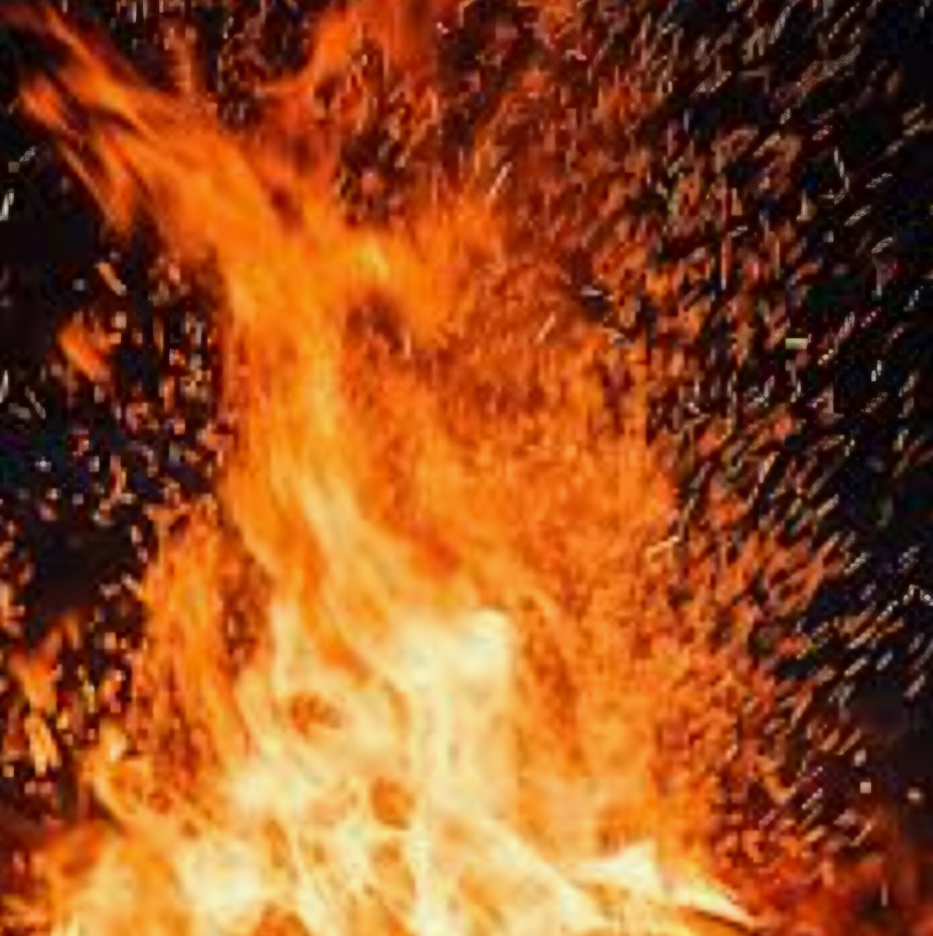 작성자 프로필 이미지