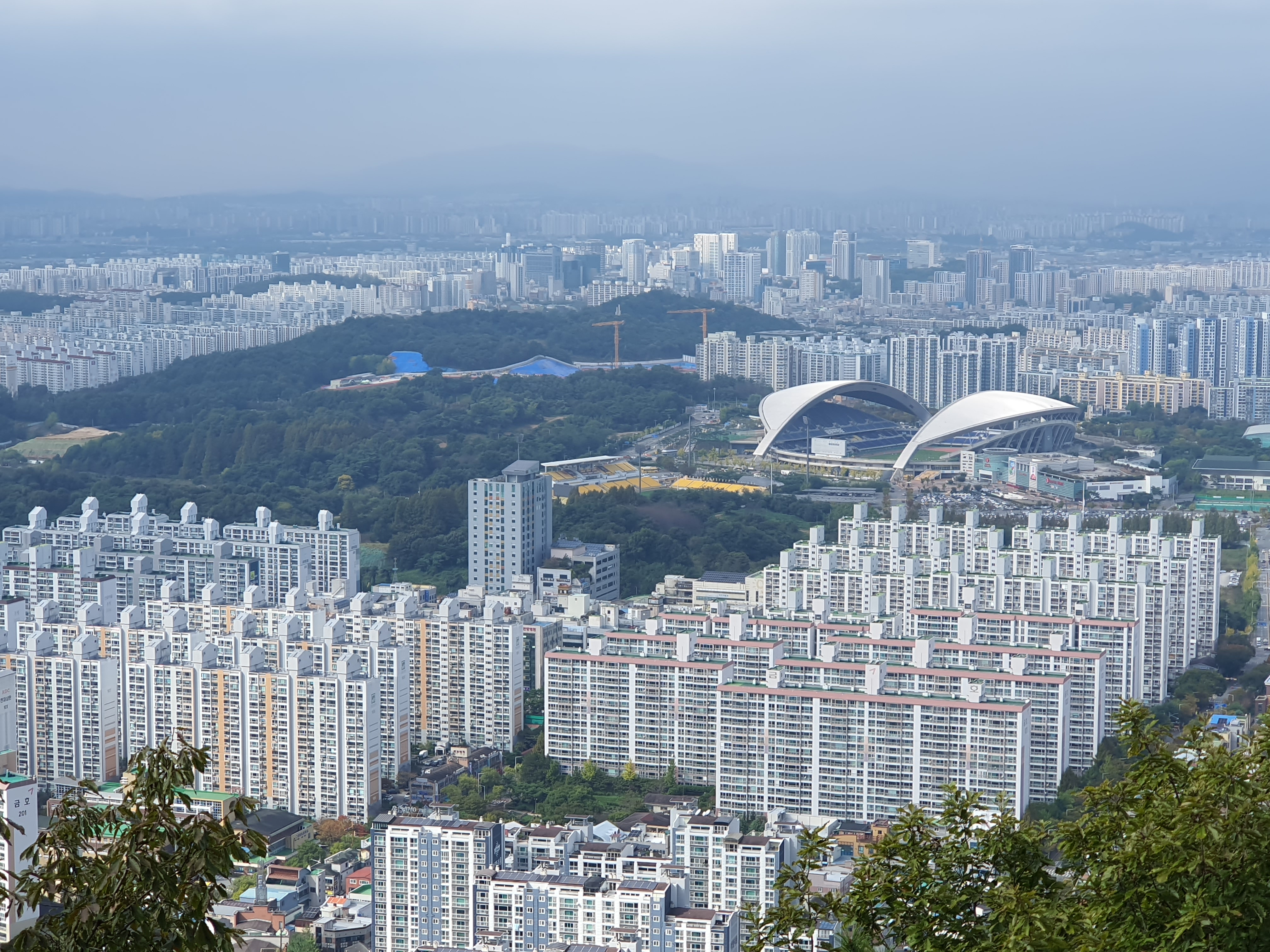 작성자 프로필 이미지