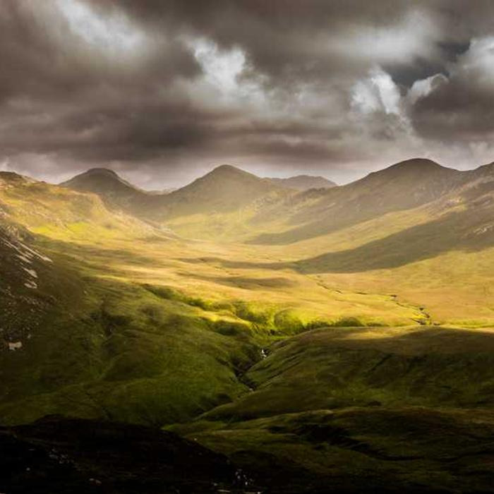 작성자 프로필 이미지