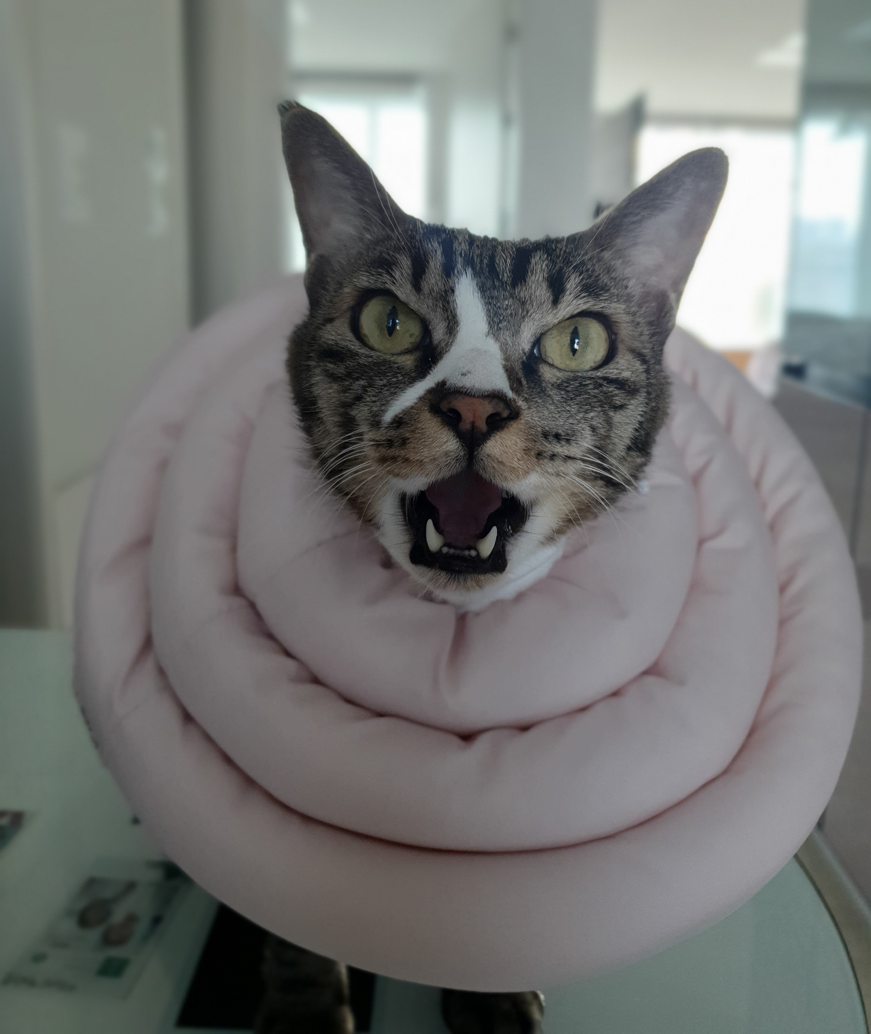 江山.愛 프로필 이미지