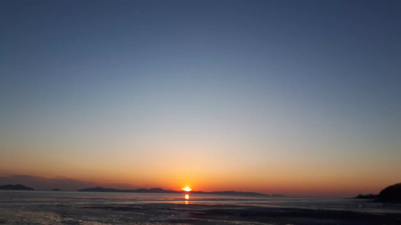 작성자 프로필 이미지