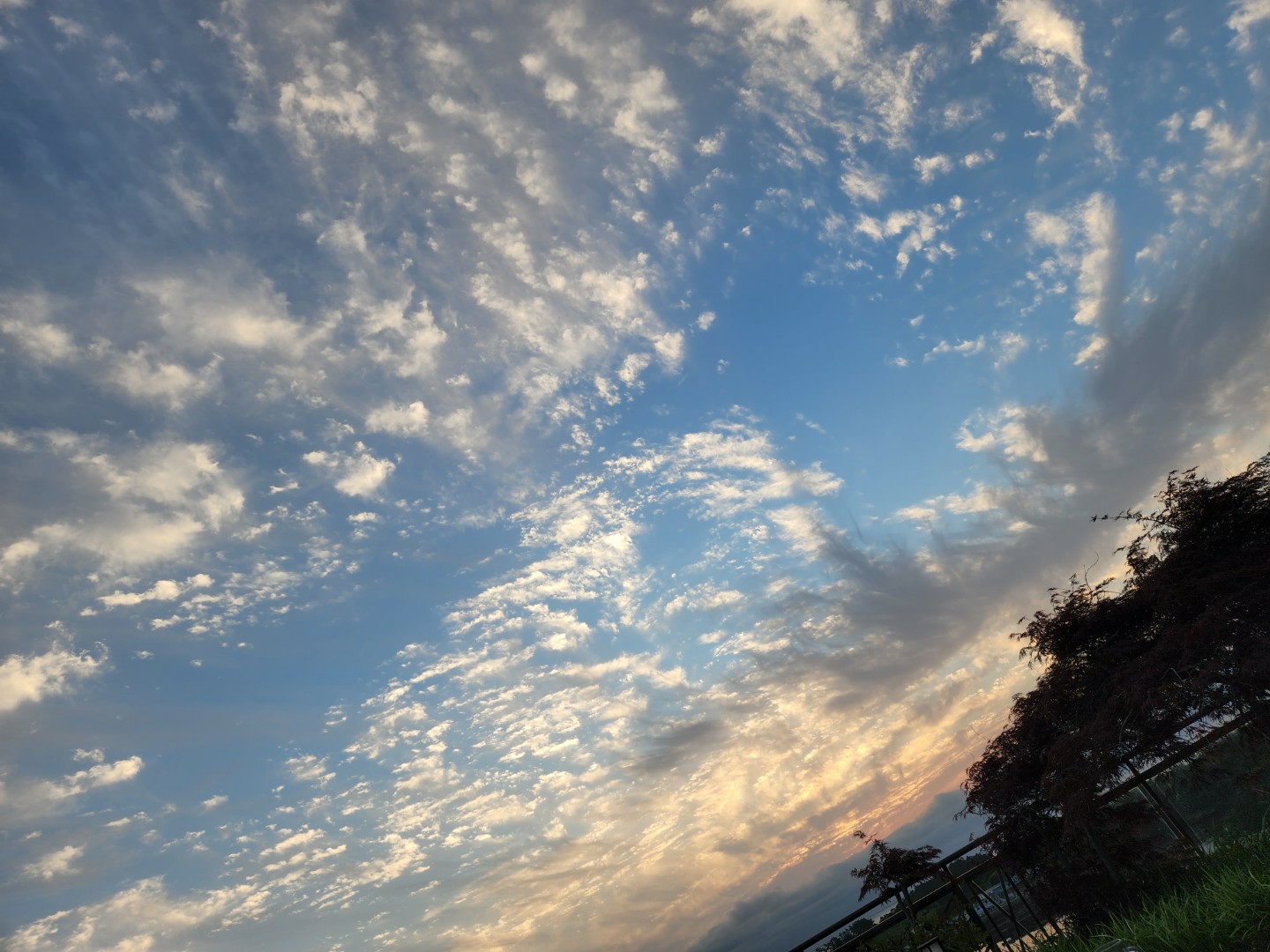 작성자 프로필 이미지