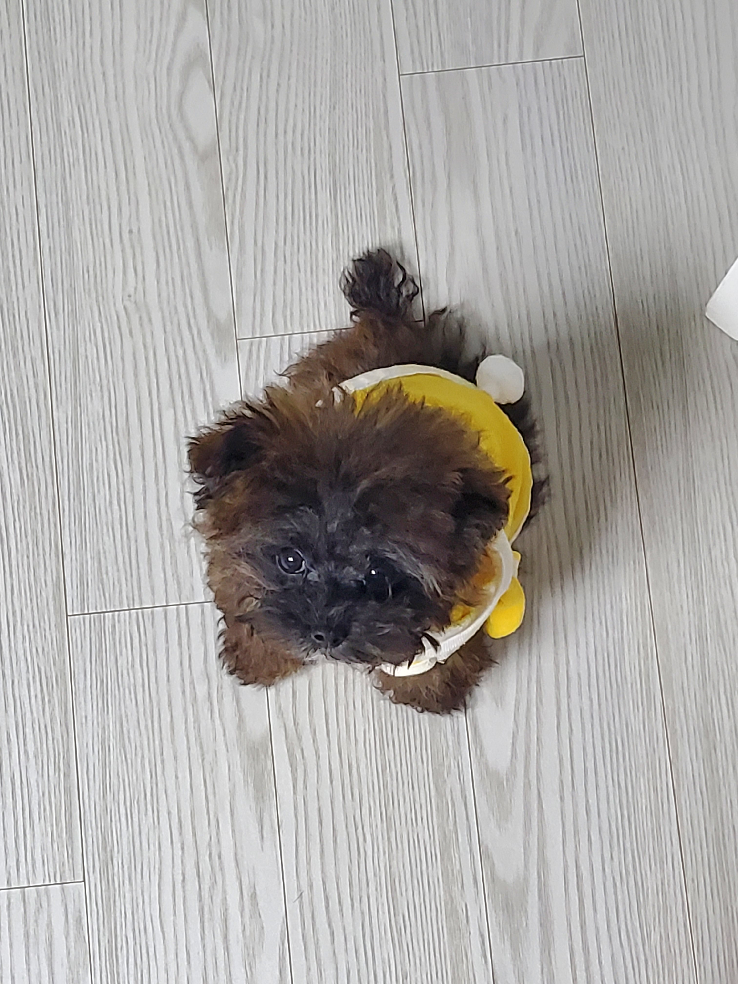 작성자 프로필 이미지